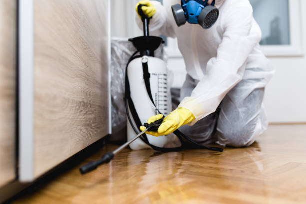 Best Termite Control Services  in Sully Square, VA