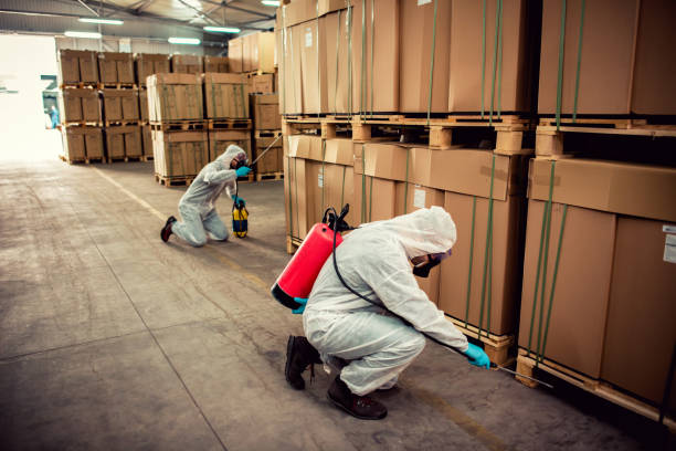 Best Pest Prevention Services  in Sully Square, VA