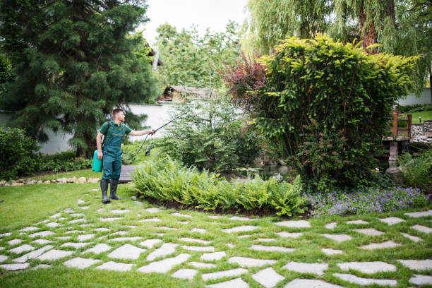 Best Best Pest Control Companies  in Sully Square, VA