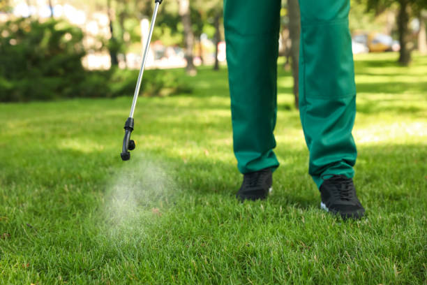 Best Flea Control Services  in Sully Square, VA