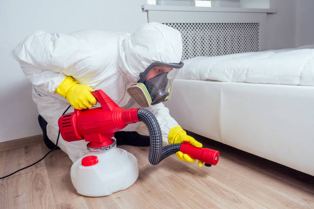 Best Local Pest Control Services  in Sully Square, VA