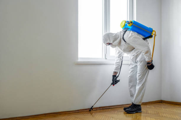 Best Commercial Pest Control Services  in Sully Square, VA