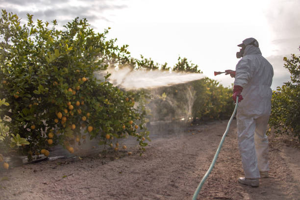 Best Pest Removal Services  in Sully Square, VA