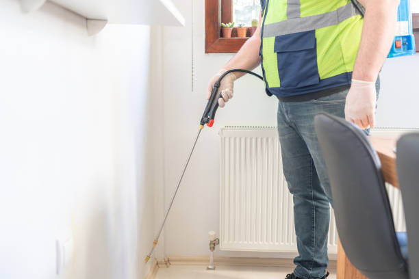 Flea Control Services in Sully Square, VA