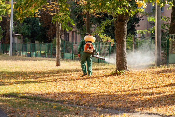 Best Pest Control Near Me  in Sully Square, VA